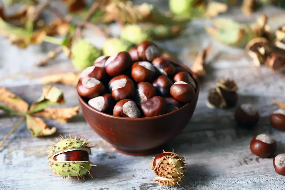 Știai că fructul de castan are o mulțime de beneficii pentru sănătate?