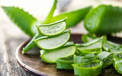 Aloe Vera sau planta care ne vindeca ranile