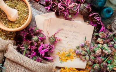 Bitter-ul suedez. 70 de plante într-o sinergie perfectă pentru pielea ta