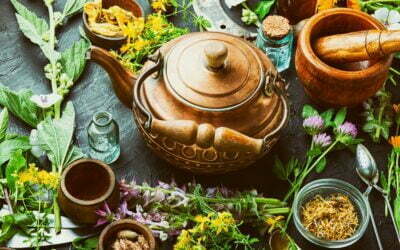 BitterGel – puterea de regenerare a naturii într-o singură picătură