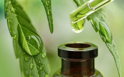 Uleiul de squalan – un hidratant mai bun pentru piele decât acidul hialuronic?